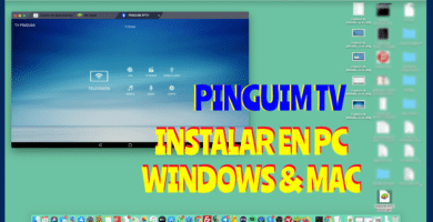pinguim tv para pc
