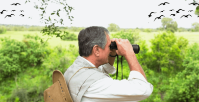 prismaticos para aves binoculares para aves