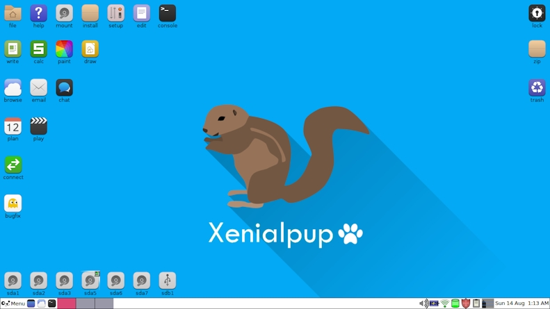 cachorro linux