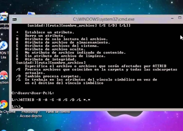 recuperar los archivos que se han borrado de un USB