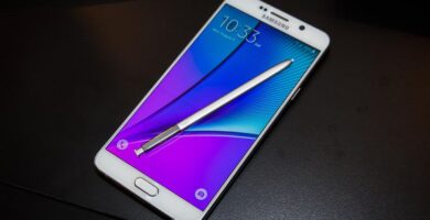 scaly mountain 3303 001