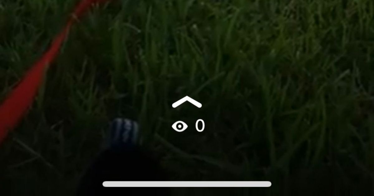 quien esta visitando mi perfil de whatsapp