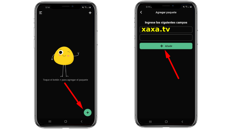 lista oficial de xaxa tv